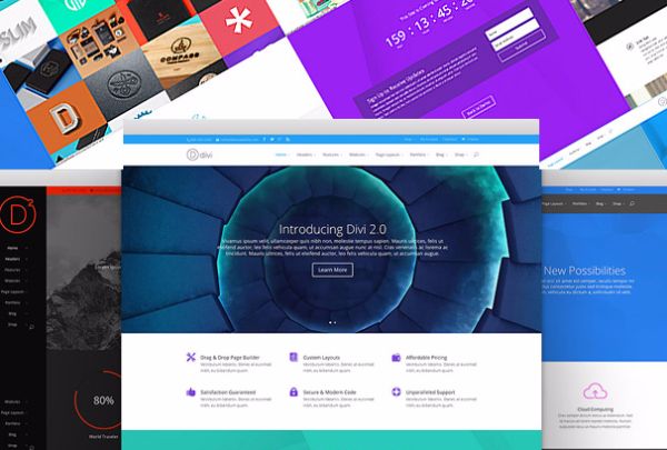 divi wordpress theme