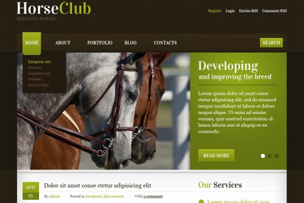 Horse Club WordPress Theme