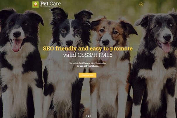 Pet Care | Grooming, Hotel, Hospital & Shop