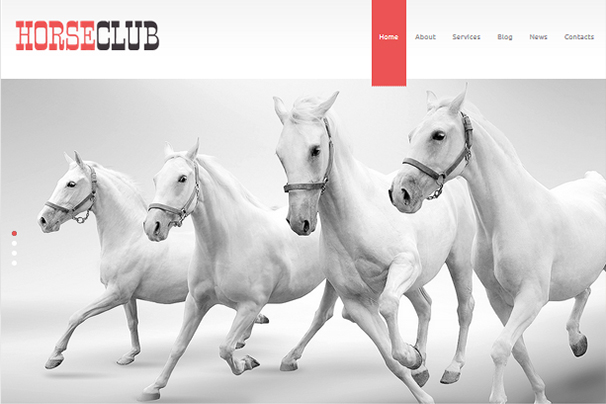 Horse Club