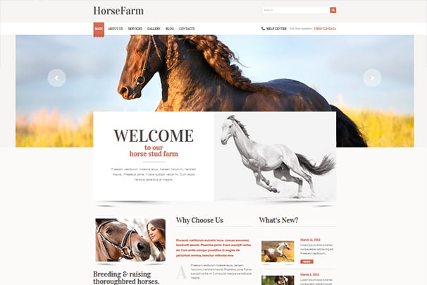 Promotion of Horse Farms