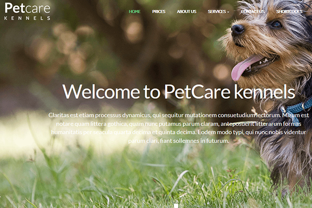 PetCare Kennels