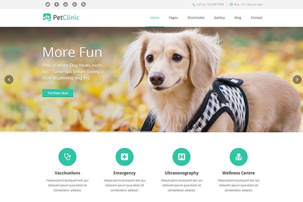 PetClinic