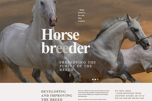 Horse Breeder