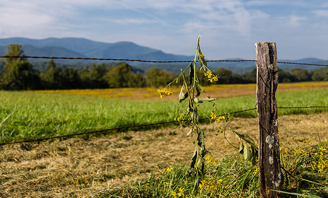 Vibrant Landscape, Photography, Lightroom Preset