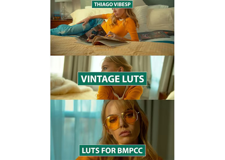 Vintage Film LUTs