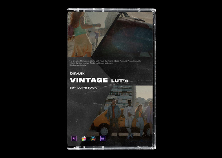 VINTAGE LUTS