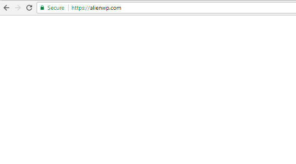 white screen of death, one of the common wordpress errors