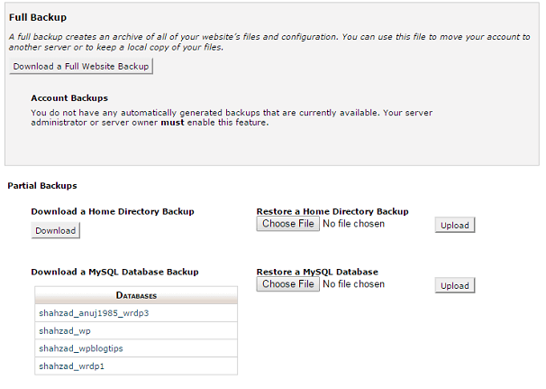 How to Make a WordPress Database Backup Manually