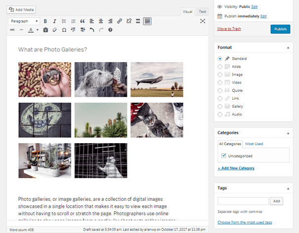 Photo Gallery - WordPress Editor